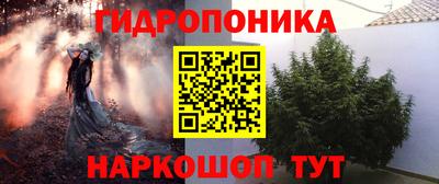 шишки Жуковский