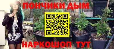 шишки Жуковский