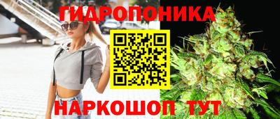 шишки Жуковский