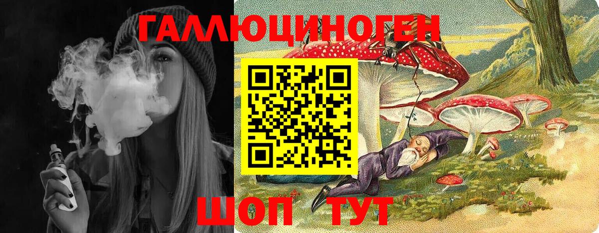 Псилоцибиновые грибы Psilocybine cubensis Благовещенск