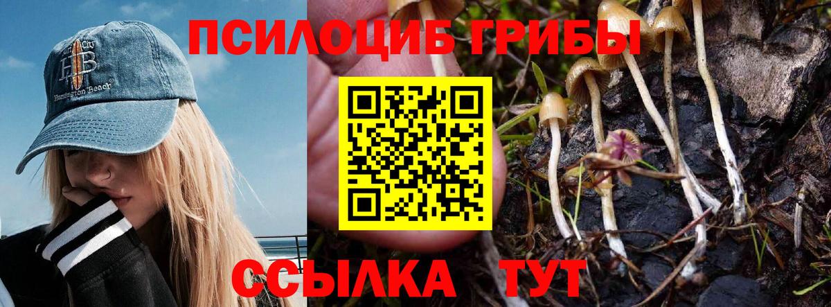 Благовещенск  Галлюциногенные грибы Magic Shrooms  Вход с VPN 